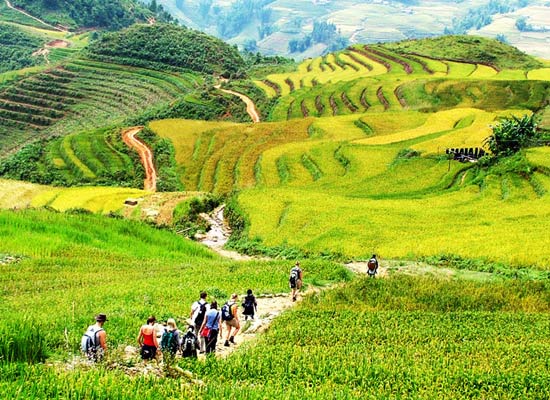 Sapa Tours